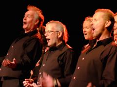 Huisconcert 2015_Hij weet niet hoe